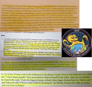 THE_FUSION_GPS_FAKE_DOSSIER_WHITE_HOUSE_AND_GOOGLE_CHARACTER_ASSASSINATE_CITIZENS.jpg