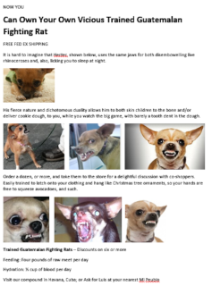 Filename=FIGHTING-RATS.png
Filesize=665KiB
Dimensions=990x1336
Date added=Sep 23, 2026 FIGHTING-RATS.png