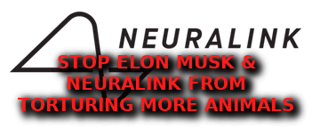 ELON_MUSK_ANIMAL_TORTURE
Keywords: Big tech mobsters,Dark money payola, Rare Earth Mines, New America Foundation Corruption, Obama, Obama Campaign Finance, Obama FEC violations, Palo Alto Mafia, Paypal Mafia, Pelosi Corruption, Political bribes, Political Insider,  Eric Schmidt Sex Penthou