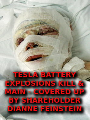 TESLA-BATTERIES-KILL-Elon-Musk-Corruption-And-Crappy-Engineering-Make-Tesla-Cars-So-Unsafe-MUSK-1
Keywords: Big tech mobsters,Dark money payola, Rare Earth Mines, New America Foundation Corruption, Obama, Obama Campaign Finance, Obama FEC violations, Palo Alto Mafia, Paypal Mafia, Pelosi Corruption, Political bribes, Political Insider,  Eric Schmidt Sex Penthou