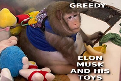 ELON-MUSK-AND-HIS-EMPIRE
Keywords: Big tech mobsters,Dark money payola, Rare Earth Mines, New America Foundation Corruption, Obama, Obama Campaign Finance, Obama FEC violations, Palo Alto Mafia, Paypal Mafia, Pelosi Corruption, Political bribes, Political Insider,  Eric Schmidt Sex Penthou