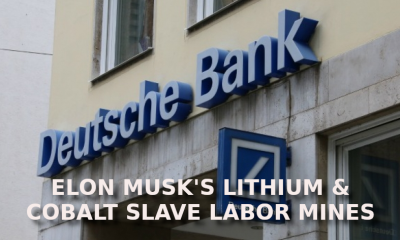 ELON MUSK CRIMINAL BANKER #4
Keywords: Big tech mobsters,Dark money payola, Rare Earth Mines, New America Foundation Corruption, Obama, Obama Campaign Finance, Obama FEC violations, Palo Alto Mafia, Paypal Mafia, Pelosi Corruption, Political bribes, Political Insider,  Eric Schmidt Sex Penthou