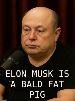 MUSK IN REAL LIFE
Keywords: Big tech mobsters,Dark money payola, Rare Earth Mines, New America Foundation Corruption, Obama, Obama Campaign Finance, Obama FEC violations, Palo Alto Mafia, Paypal Mafia, Pelosi Corruption, Political bribes, Political Insider,  Eric Schmidt Sex Penthou
