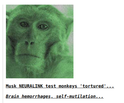 MUSK TORTURES ANIMALS
Keywords: Big tech mobsters,Dark money payola, Rare Earth Mines, New America Foundation Corruption, Obama, Obama Campaign Finance, Obama FEC violations, Palo Alto Mafia, Paypal Mafia, Pelosi Corruption, Political bribes, Political Insider,  Eric Schmidt Sex Penthou