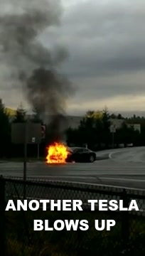 tesla_on_fire_328_v1
Keywords: Big tech mobsters,Dark money payola, Rare Earth Mines, New America Foundation Corruption, Obama, Obama Campaign Finance, Obama FEC violations, Palo Alto Mafia, Paypal Mafia, Pelosi Corruption, Political bribes, Political Insider,  Eric Schmidt Sex Penthou