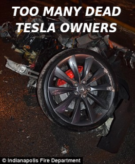 ANOTHER-DEAD-TESLA-DRIVER-9997-Elon-Musk-Corruption-And-Crappy-Engineering-Make-Tesla-Cars-So-Unsafe-_-_MUSK.png