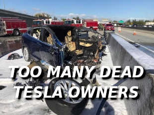 ANOTHER-DEAD-TESLA-DRIVER-vvv_-_MUSK.png