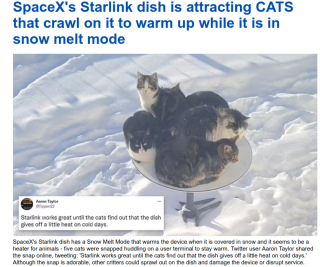 Filename=ANOTHER_SPACE_X_FAILURE_STARLINK_-_MUSK.png
Filesize=457KiB
Dimensions=836x700
Date added=Sep 23, 2026 ANOTHER_SPACE_X_FAILURE_STARLINK_-_MUSK.png
