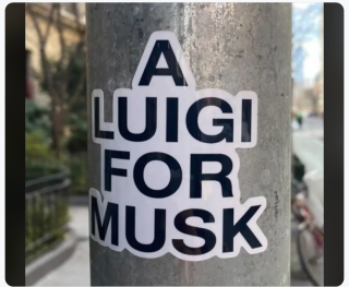A_LUIGI_FOR_ELON.png