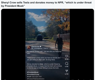 CROW_CAR_GOES_AWAY_THANKS_TO_MUSK.png