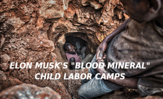 Filename=ELON-MUSK-CONGO-COBALT-MINE-BLOOD-BATTERIES-Elon-Musk-Corruption-And-Crappy-Engineering-Make-Tesla-Cars-So-Unsafe-.png
Filesize=468KiB
Dimensions=611x373
Date added=Sep 23, 2026 ELON-MUSK-CONGO-COBALT-MINE-BLOOD-BATTERIES-Elon-Musk-Corruption-And-Crappy-Engineering-Make-Tesla-Cars-So-Unsafe-.png
