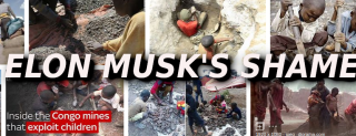 Filename=ELON_MUSKS_COBALT_MINES_KILL_KIDS_Elon_Musk_Corruption_And_Crappy_Engineering_Make_Tesla_Cars_So_Unsafe__-_MUSK.png
Filesize=537KiB
Dimensions=834x323
Date added=Sep 23, 2026 ELON_MUSKS_COBALT_MINES_KILL_KIDS_Elon_Musk_Corruption_And_Crappy_Engineering_Make_Tesla_Cars_So_Unsafe__-_MUSK.png