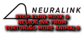 Filename=ELON_MUSK_ANIMAL_TORTURE.png
Filesize=34KiB
Dimensions=351x144
Date added=Sep 23, 2026 ELON_MUSK_ANIMAL_TORTURE.png