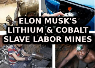 ELON_MUSK_CONGO_CHILD_LABOR_COBALT_MINES.png