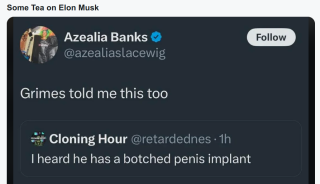 ELON_MUSK_HAS_A_BROKEN_WEINER.png