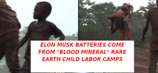 ELON_MUSK_HAS_CHILD_LABOR_FARMS_-_MUSK.png