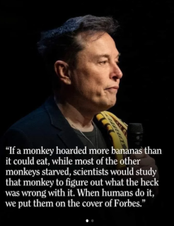 ELON_MUSK_IS_A_GLUTTON_MONKEY.png