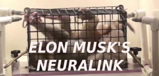 Filename=ELON_MUSK_MONKEY_TESTING_WITH_BRAIN_DEVICES_Elon_Musk_Corruption_And_Crappy_Engineering_Make_Tesla_Cars_So_Unsafe__-_MUSK.png
Filesize=338KiB
Dimensions=800x385
Date added=Sep 23, 2026 ELON_MUSK_MONKEY_TESTING_WITH_BRAIN_DEVICES_Elon_Musk_Corruption_And_Crappy_Engineering_Make_Tesla_Cars_So_Unsafe__-_MUSK.png