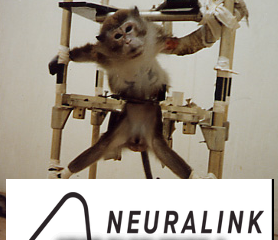 Filename=ELON_MUSK_NEURALINK_TORTURES_ANIMALS-278x240_-_MUSK.png
Filesize=96KiB
Dimensions=278x240
Date added=Sep 23, 2026 ELON_MUSK_NEURALINK_TORTURES_ANIMALS-278x240_-_MUSK.png
