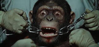 Filename=ELON_MUSK_TORTURES_APES_IN_HIS_LAB.png
Filesize=482KiB
Dimensions=865x409
Date added=Sep 23, 2026 ELON_MUSK_TORTURES_APES_IN_HIS_LAB.png