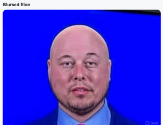 ELON_MUSK_has_advanced_asshole_Syndrome.png