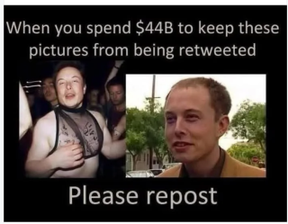 ELON_THE_SCAMMER_98756.png