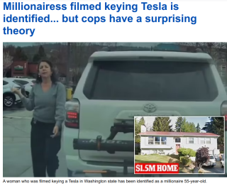 EVRYBODY_HATES_TESLA_76t54re.png
