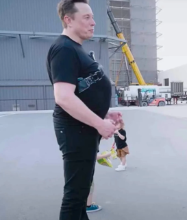 FAT_BALD_TOUPEE_ELON_MUSK.png