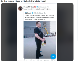 FAT_ELON_MUSK_THE_CRAZY_SHIT.png