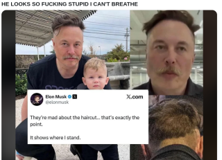 How_Stupid_Is_Elon_Musk_9733.png