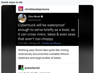 IDIOT_MUSK_4567.png