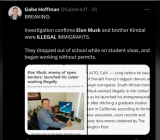 ILLEGAL_MUSK_SCAM_HEAD_.png