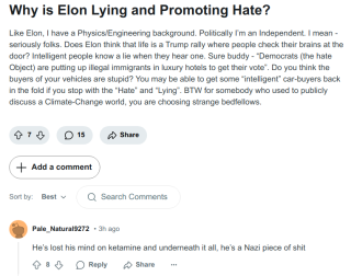 LYING_ELON_MUSK_9856.png