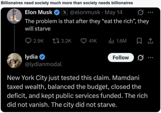 Liar_Elon_Musk_The_Asshole_7.png
