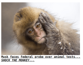 Filename=MUSK-KILLS-ANIMALS.png
Filesize=194KiB
Dimensions=462x360
Date added=Sep 23, 2026 MUSK-KILLS-ANIMALS.png