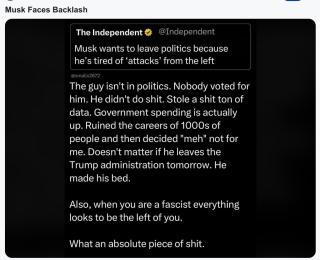 MUSK_IS_FULLY_INSANE_097656.png