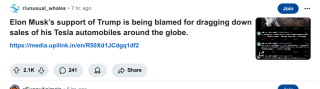 MUSK_IS_KILLING_TESLA_SO_MUCH.png