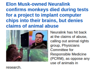 Filename=MUSK_KILLS_MONKEYS.png
Filesize=112KiB
Dimensions=416x315
Date added=Sep 23, 2026 MUSK_KILLS_MONKEYS.png