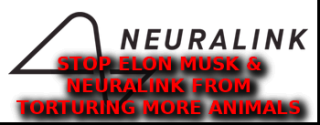 Filename=MUSK_TORTURES_ANIMALS~0.png
Filesize=34KiB
Dimensions=350x137
Date added=Sep 23, 2026 MUSK_TORTURES_ANIMALS~0.png
