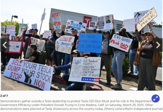 PROTESTING_ELON_MUSK_9735.png