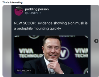 Pedo_Charges_Against_Elon_Musk.png