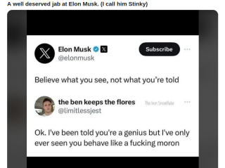 STINKY_ELON_MUSK.png