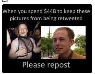 Scumbag_Elon_Musk_7.png