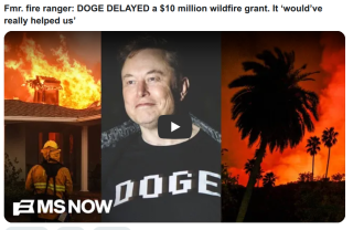 Filename=Sociopath_Elon_Musk_Is_a_Mobster_14.png
Filesize=485KiB
Dimensions=865x564
Date added=Sep 23, 2026 Sociopath_Elon_Musk_Is_a_Mobster_14.png