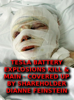 TESLA-BATTERIES-KILL-Elon-Musk-Corruption-And-Crappy-Engineering-Make-Tesla-Cars-So-Unsafe-MUSK-1.png