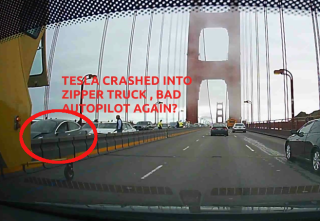 TESLA_NUTS_CAUGHT_IN_ZIPPER_-_MUSK.png