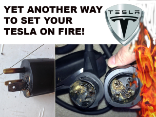 TESPLUGS_ELON_MUSK_CORRUPTION_-_MUSK.png