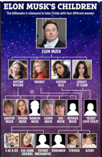 THE_FAT_PREDATOR_ASSHOLE_ELON_MUSK.png