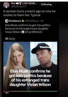 The_Insanity_Of_Elon_Musk_U.png