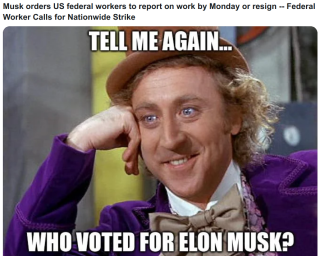 WHO_VOTED_FOR_ELON_MUSK_EXACTLY.png